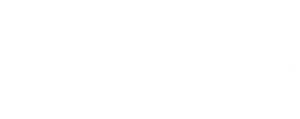 Fluxen Studio Logo